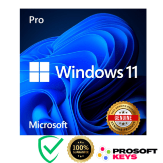 microsoft windows 11 pro oem 64 bit x64 geniune key licence legal digital activation low price