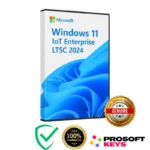 buy windows 11 IoT enterprise ltsc 2024 key