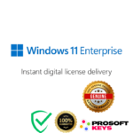 windows 11 enterprise key
