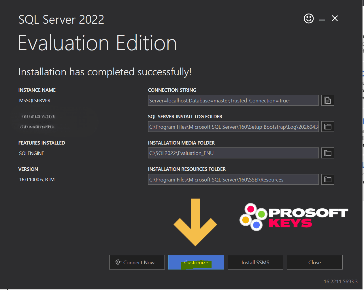 SERVER 2022 customize